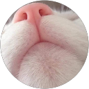Ramona Manta profile picture